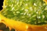 刺角瓜的营养价值
