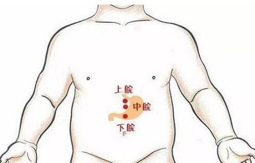 在上腹部,前正中线上1下脘的准确位置图发表[养生攻略]下脘的准确位置