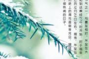 冬至是几月几日 冬至是冬天的开始吗