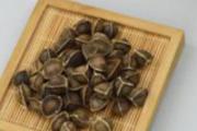辣木籽吃出苦味是什么原因