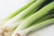 有什么补肾的食物 肾不好不能吃什么