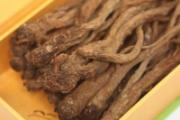 什么人适合吃当归 女人怎么吃当归好