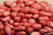软化血管吃什么 哪些食物才能够软化血管