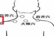 肩中俞的准确位置图 肩中俞的定位及功效