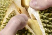 榴莲肉变透明还能吃吗 榴莲肉发苦怎么回事