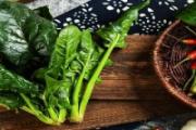 菠菜可以放冰箱冷藏吗 菠菜冷冻保存可以吗