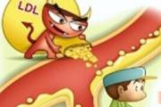 高血脂危害有哪些