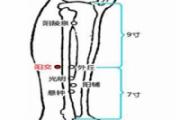 阳交的准确位置图 阳交的作用及功能主治