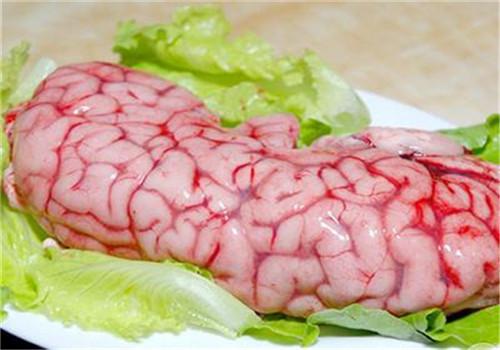 牛脑的功效与作用