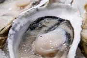 蒸生蚝冷水下锅还是热水下锅 带壳生蚝冷水蒸多久才熟