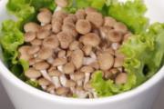 蟹味菇宝宝能吃吗 宝宝吃蟹味菇有什么好处