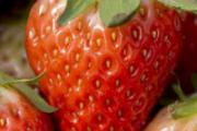 草莓放冰箱还是常温保存 草莓不放冰箱可以过夜吗