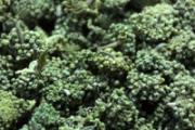 三七花是不是田七花 三七花有什么功效和作用