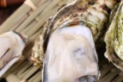 生蚝肉冷藏能放多久 带壳生蚝怎么保存