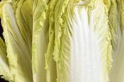 大白菜可以放在冰箱里吗 大白菜常温可以放多久