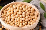 什么人不能喝豆浆 哪些人不适合喝豆浆