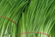 夏季养肝吃什么 夏季养肝多吃这些蔬菜