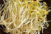 新鲜豆芽怎么保存过夜 豆芽放冰箱能保存几天