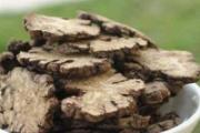 冠心病吃中药能治好吗 冠心病吃什么中药最有效
