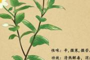 喝鱼腥草水有什么好处 饭后可以吃鱼腥草茶吗