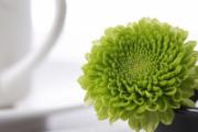 床头竟不能放绿色植物，揭秘五种不宜放床头的物品