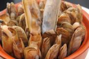 蛏子第二天还能吃吗 蛏子过夜怎么吃