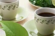 脂肪肝喝什么茶