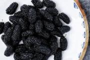 桑葚干泡水多少合适 桑葚泡水能天天喝吗