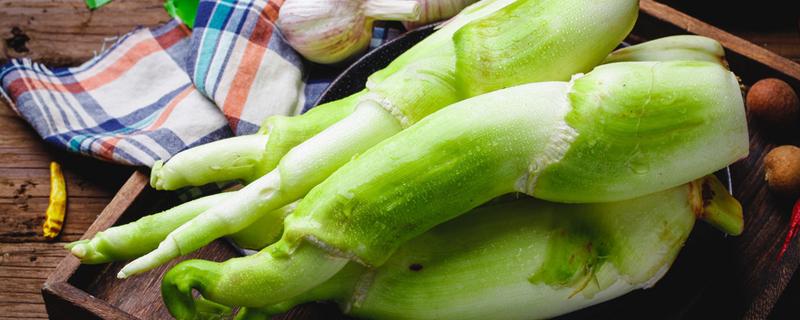 茭白买回来怎么保存
