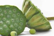 新鲜莲子能放冰箱保存吗 新鲜莲子可以冷冻吗