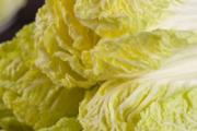 水煮娃娃菜有减肥效果吗 减肥吃娃娃菜怎么煮