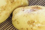 土豆当主食可以减肥吗 土豆减肥还是增肥
