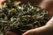 过期的茶叶可以煮茶叶蛋吗 过期茶叶有什么用