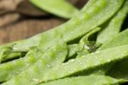 荷兰豆怎么储存时间长 荷兰豆冷冻后还能吃吗