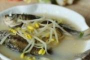 鲫鱼豆芽汤