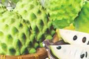 释迦果可以放冰箱吗 原来释迦果要这么保存