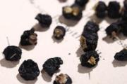 黑枸杞泡水有点苦还能吃吗 黑枸杞为什么是苦的