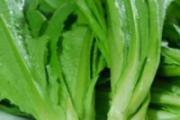 常吃油麦菜有什么好处 油麦菜的适用人群与禁忌人群
