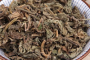 车前草干的好还是新鲜的好 新鲜车前草能泡水喝吗