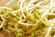 什么蔬菜嘌呤含量高 哪些蔬菜嘌呤含量高