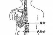 人体穴位分布图及作用 十大补气穴位和十大补血穴位