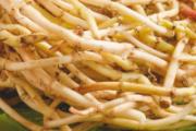鱼腥草吃了有什么好处 鱼腥草的最佳食用方法