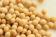 黄豆有什么功效 常吃黄豆的15大养生功效