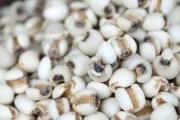 春天吃什么除湿气 这些食物吃走湿气