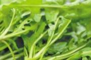 吃了荠菜胎儿会停吗 胎停的原因是什么