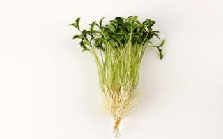 皮肤黄吃什么可以调理 亮白肌肤6种食物吃出来