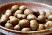 山药豆发芽了还能吃吗 山药豆发芽了要怎么吃