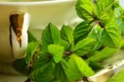 薄荷茶可以去火吗 薄荷茶能反复冲泡吗