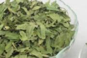 罗布麻叶的功效与作用