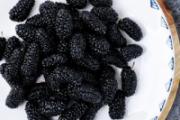 桑葚干十克大概多少粒 桑葚干的副作用